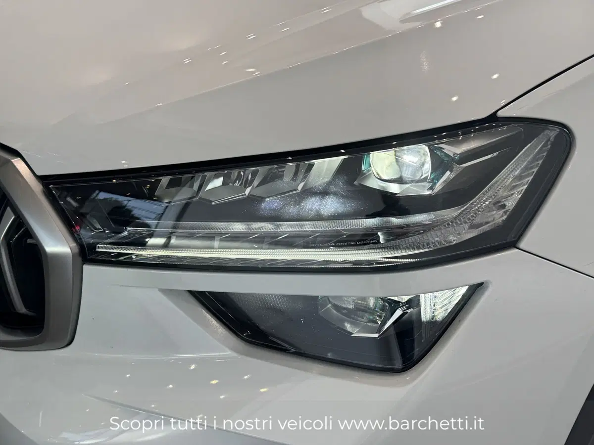 Skoda Kodiaq usata a Brescia (6)