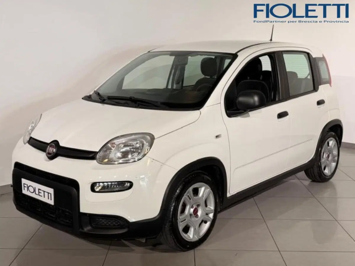 Fiat Panda Cross usata a Brescia