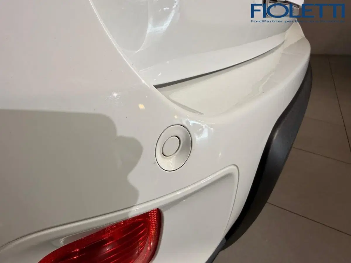 Fiat Panda Cross usata a Brescia (13)