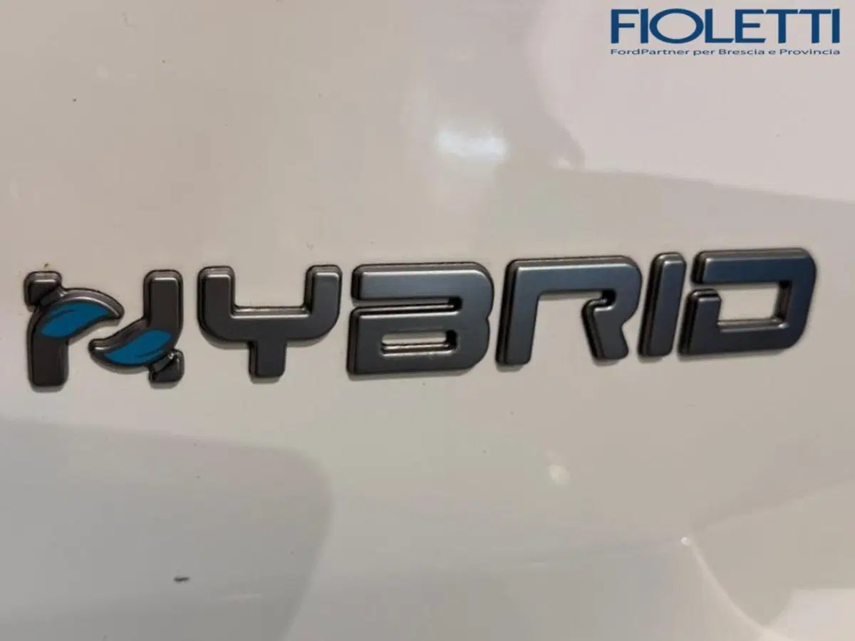 Fiat Panda Cross usata a Brescia (14)