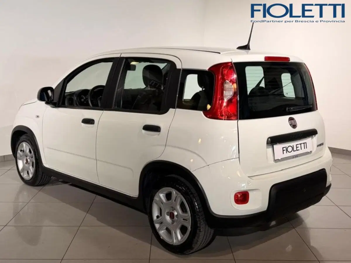 Fiat Panda Cross usata a Brescia (2)