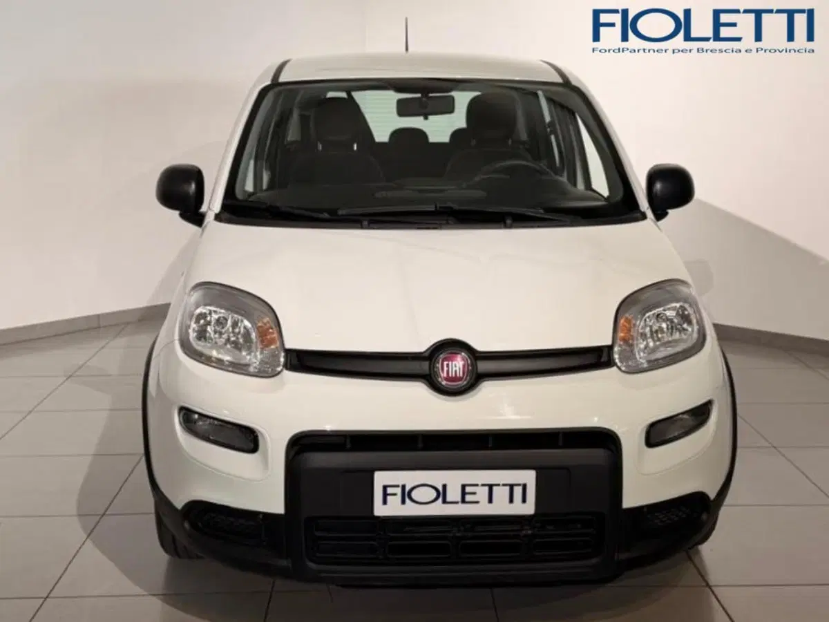 Fiat Panda Cross usata a Brescia (3)