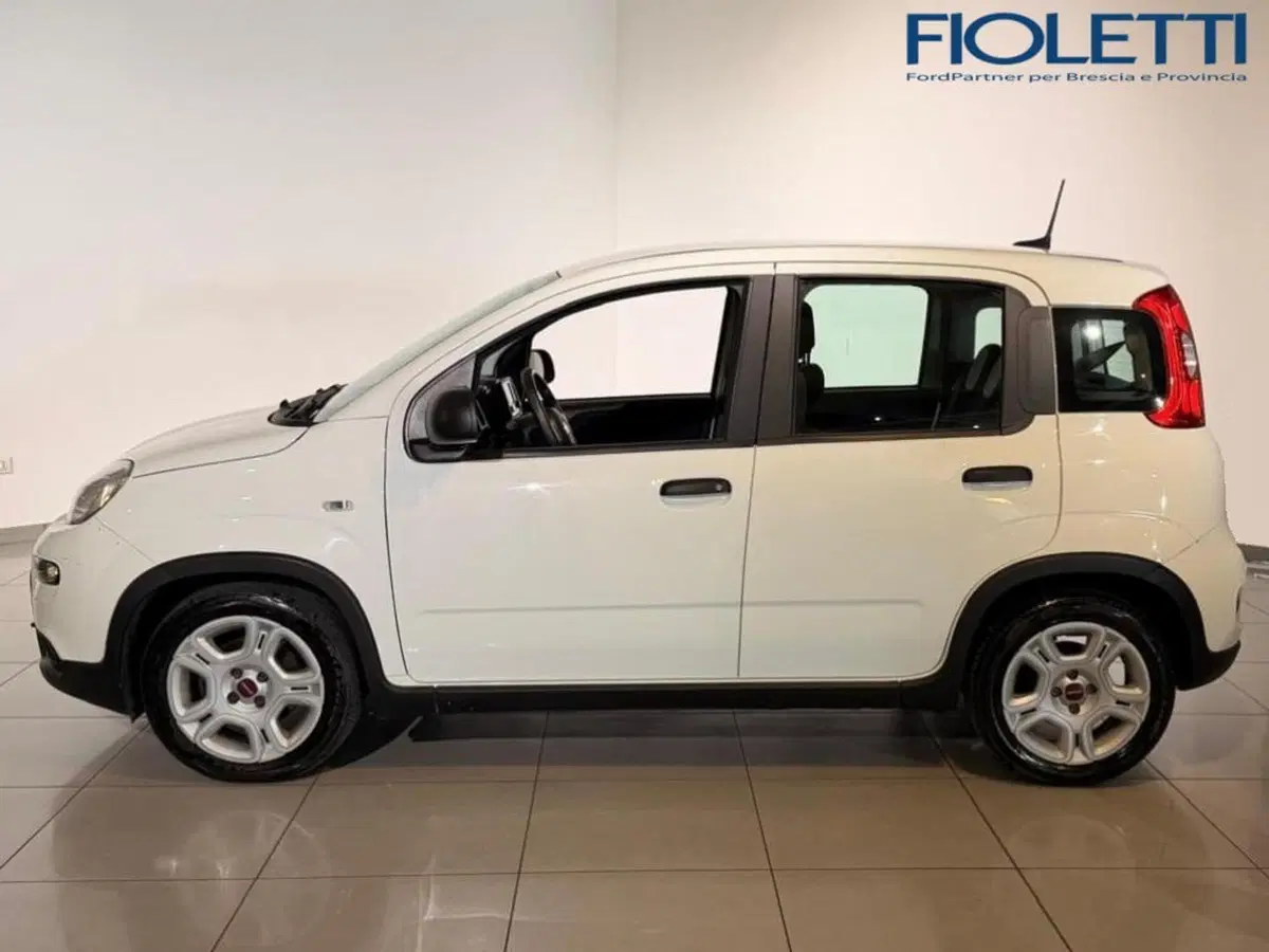 Fiat Panda Cross usata a Brescia (4)
