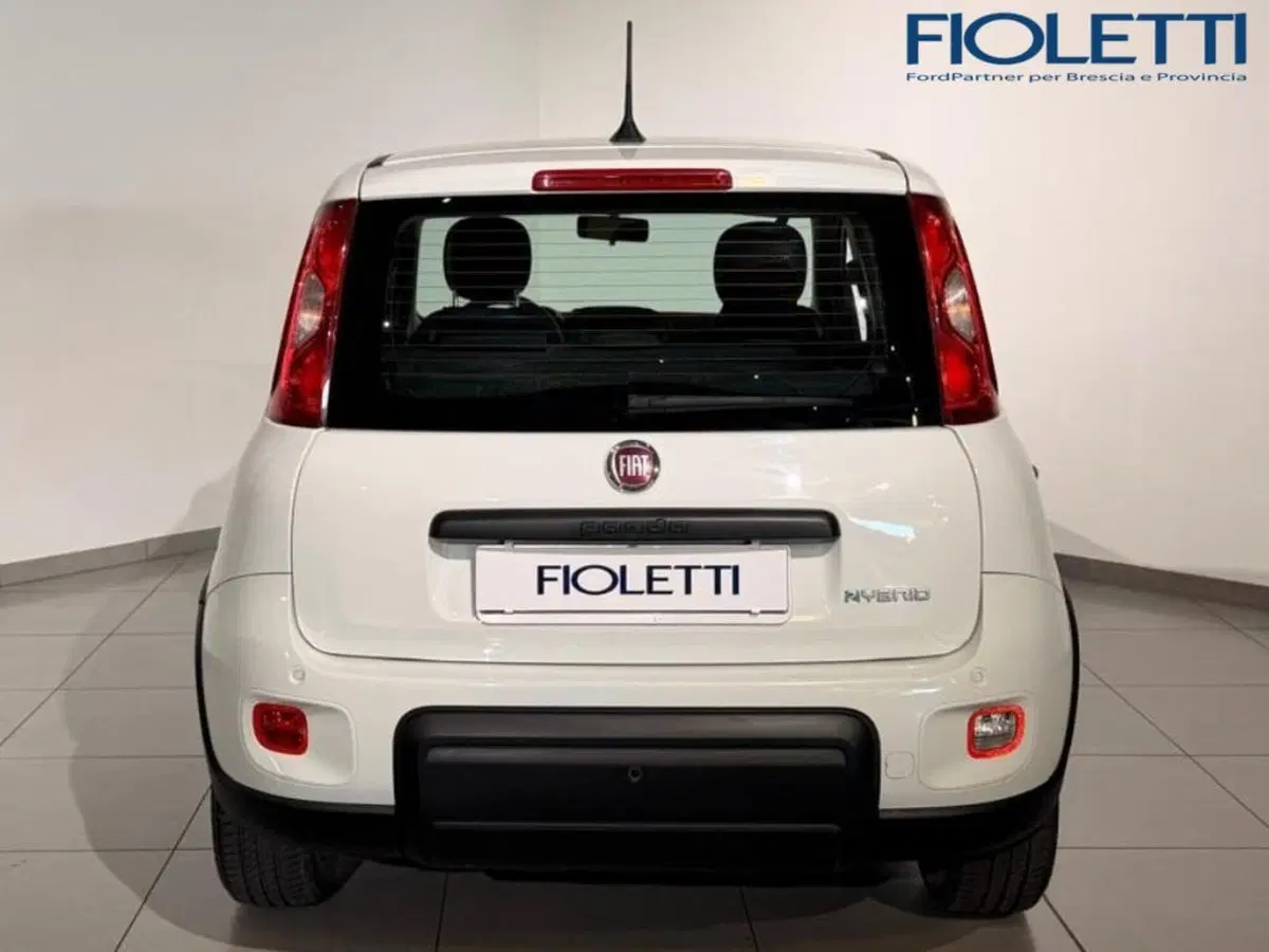 Fiat Panda Cross usata a Brescia (5)