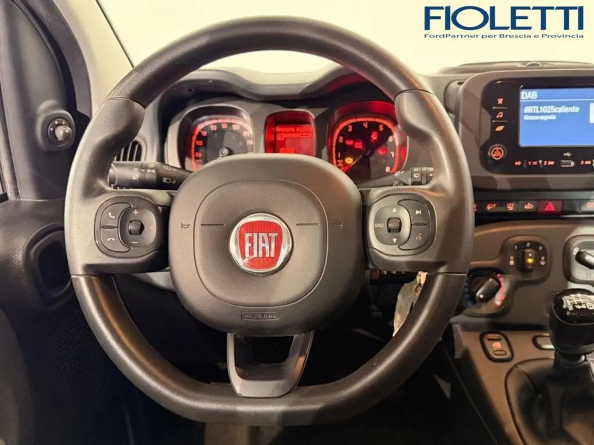 Fiat Panda Cross usata a Brescia (7)