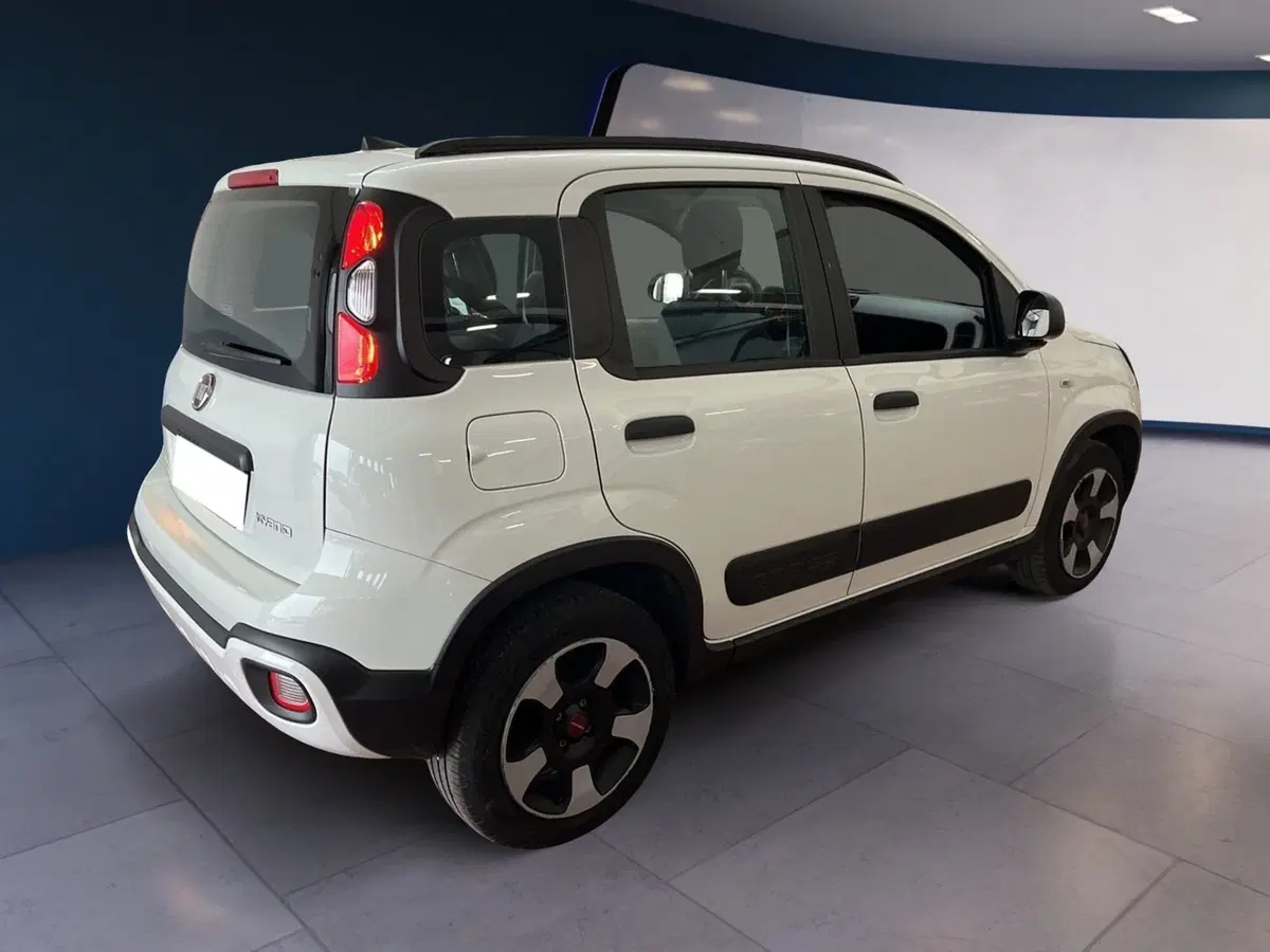 Fiat Panda usata a Torino (6)