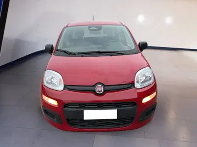 Fiat Pandina 1.0 firefly hybrid s&s 70cv del 2025 usata a Torino