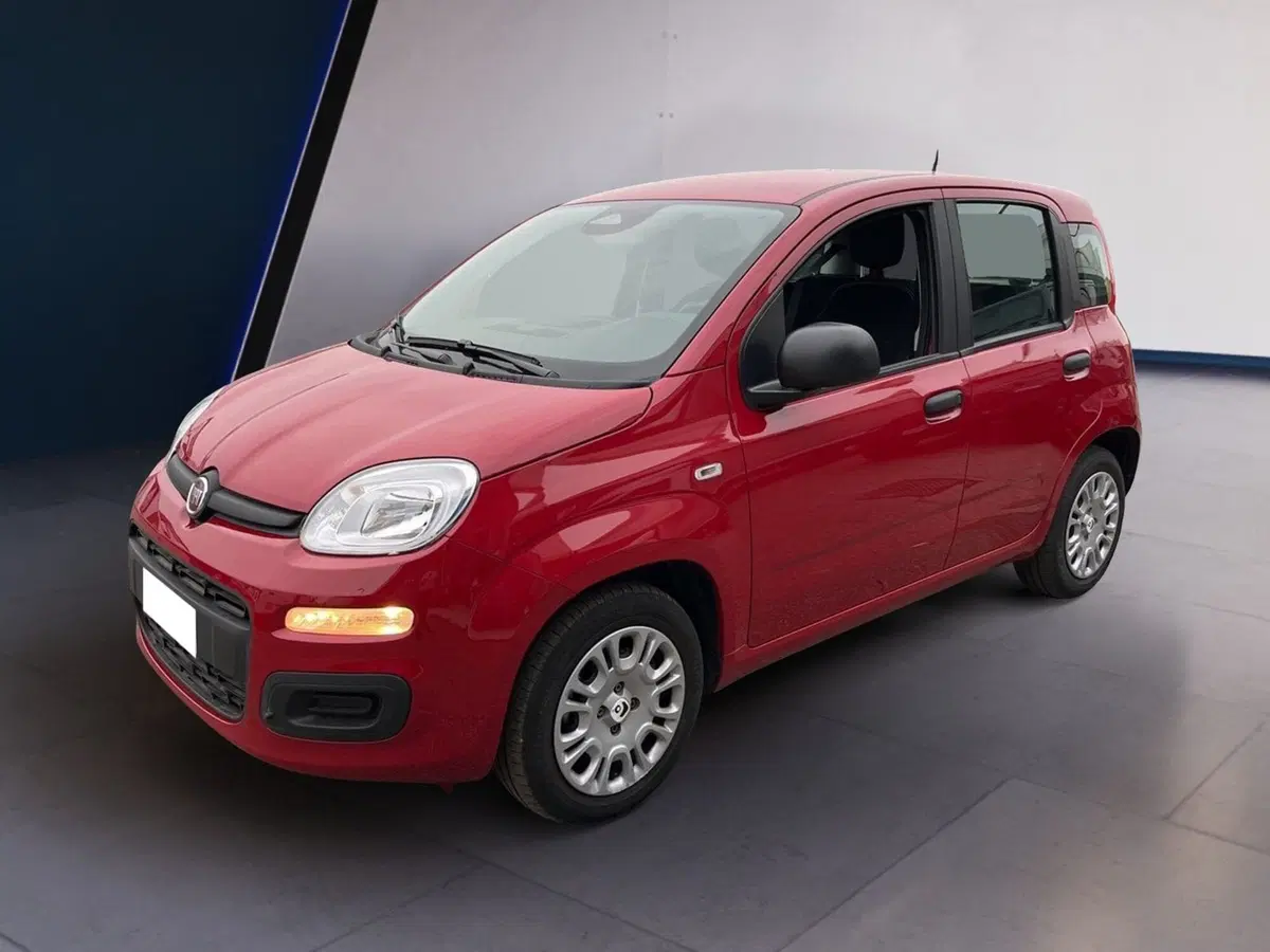 Fiat Pandina usata a Torino (2)