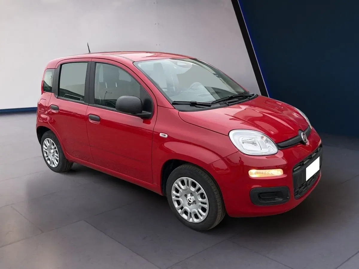 Fiat Pandina usata a Torino (3)
