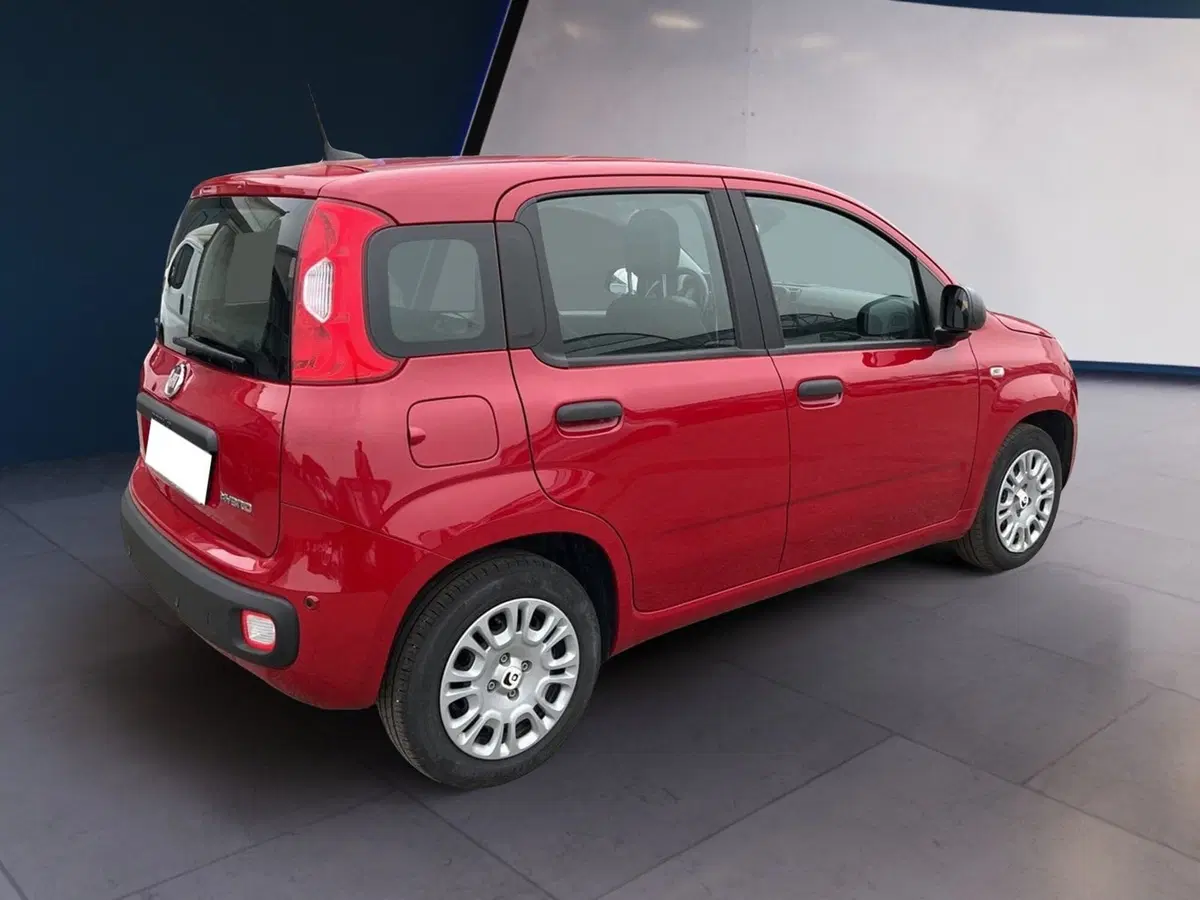 Fiat Pandina usata a Torino (4)