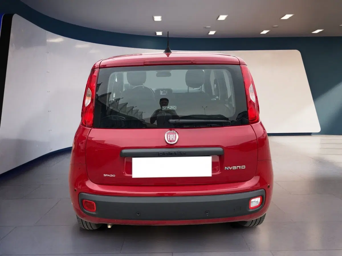 Fiat Pandina usata a Torino (5)