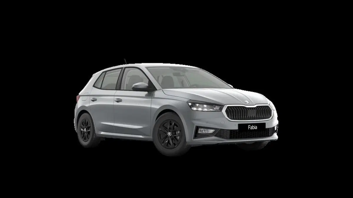 Skoda Fabia nuova a Padova