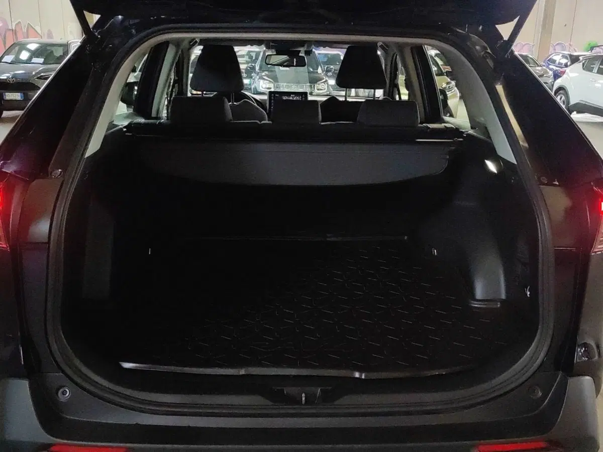 Toyota Rav4 usata a Milano (7)