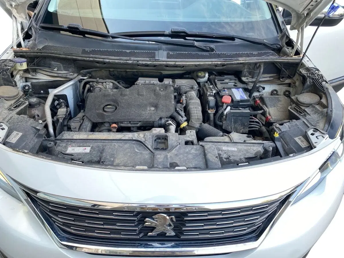 Peugeot 5008 usata a Bologna (12)