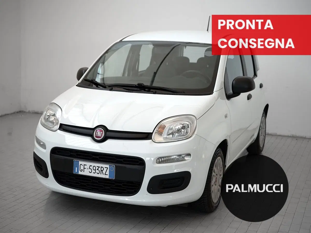 Fiat Panda Cross usata a Prato