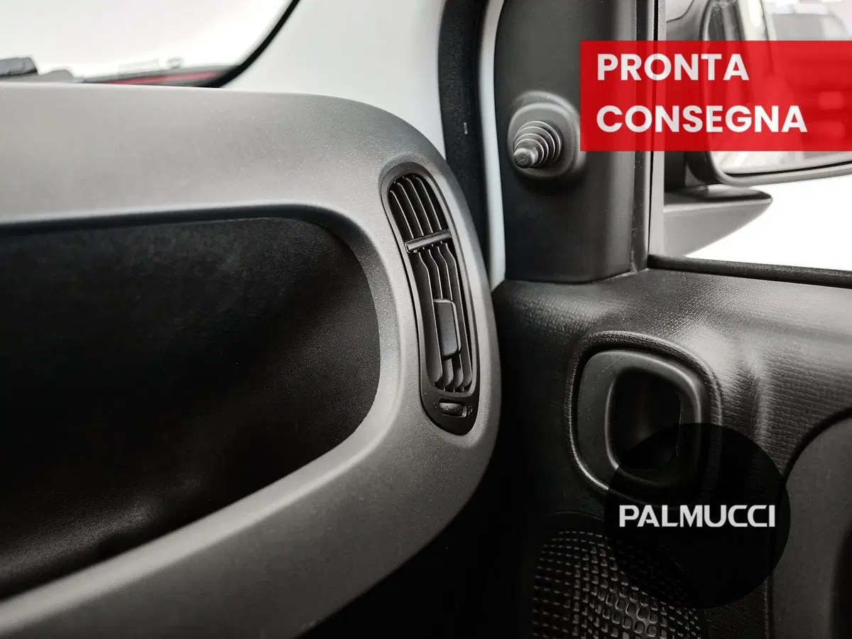 Fiat Panda Cross usata a Prato (10)