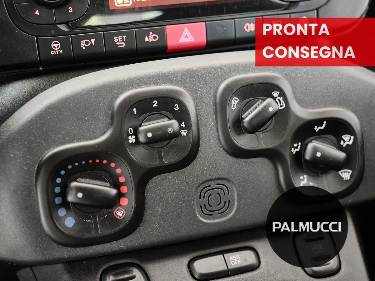 Fiat Panda Cross usata a Prato (15)