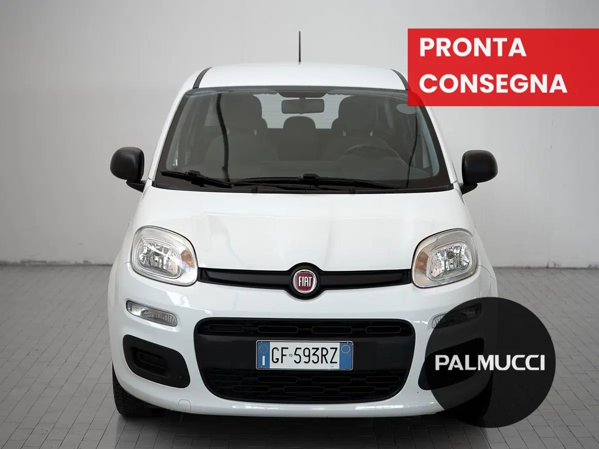 Fiat Panda Cross usata a Prato (2)