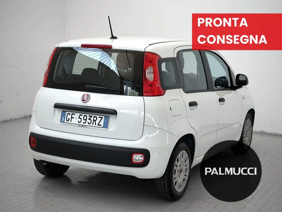Fiat Panda Cross usata a Prato (3)