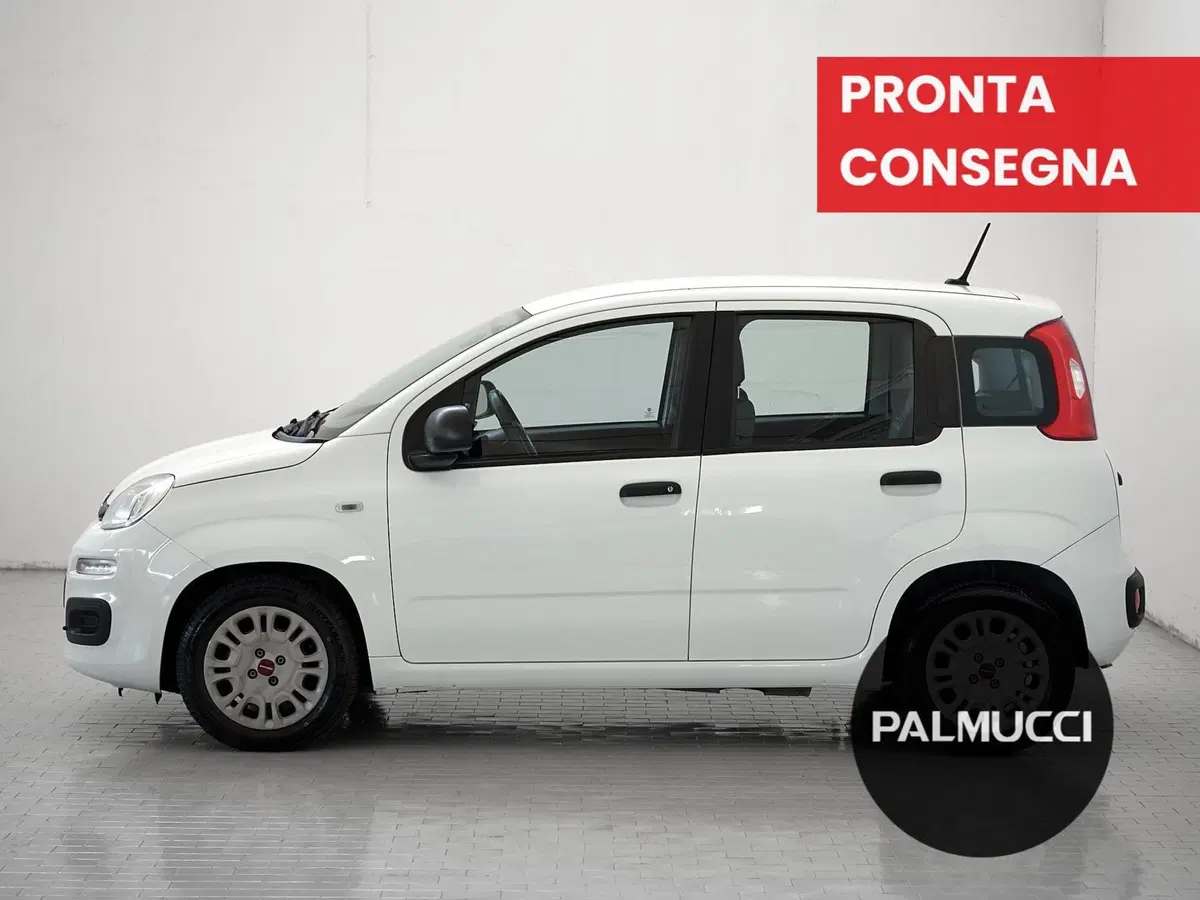 Fiat Panda Cross usata a Prato (4)