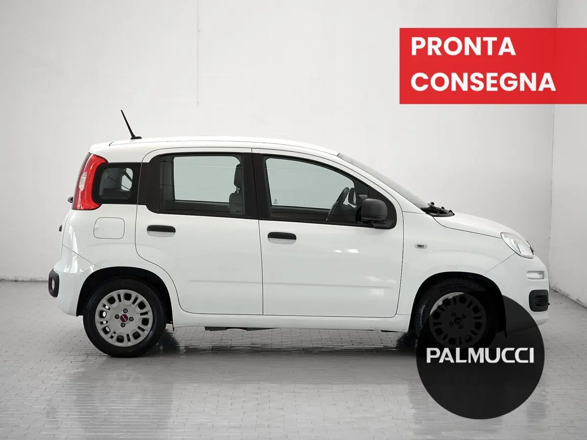 Fiat Panda Cross usata a Prato (5)