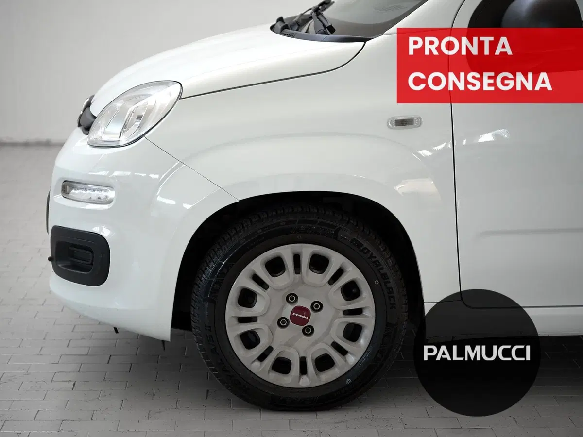Fiat Panda Cross usata a Prato (6)
