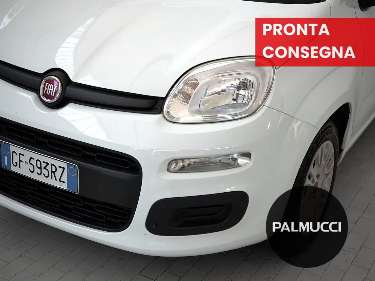 Fiat Panda Cross usata a Prato (7)