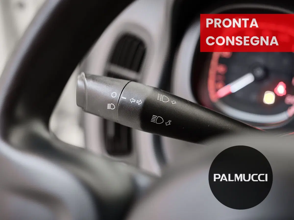 Fiat Panda Cross usata a Prato (9)