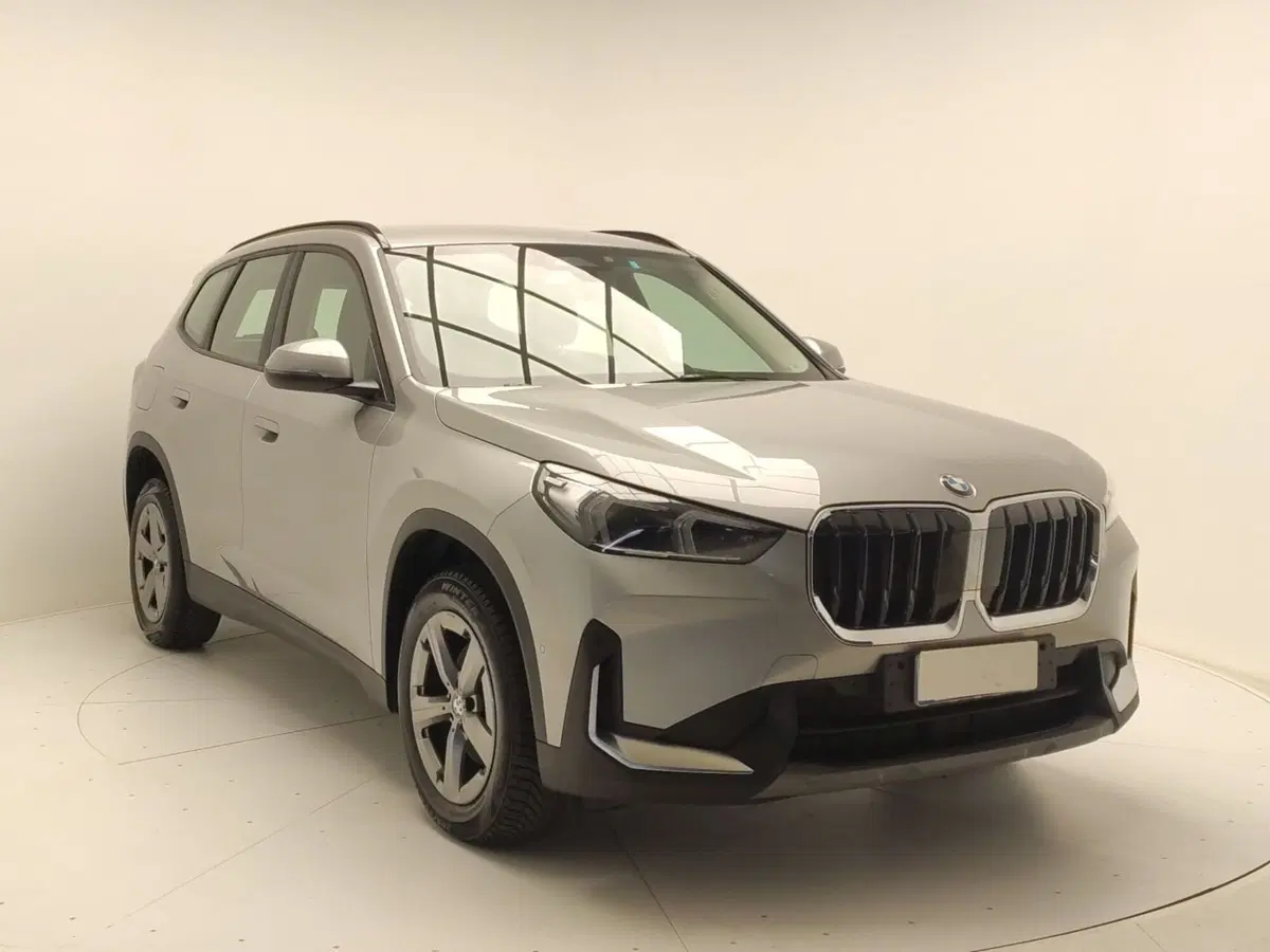 BMW X1 usata a Avellino