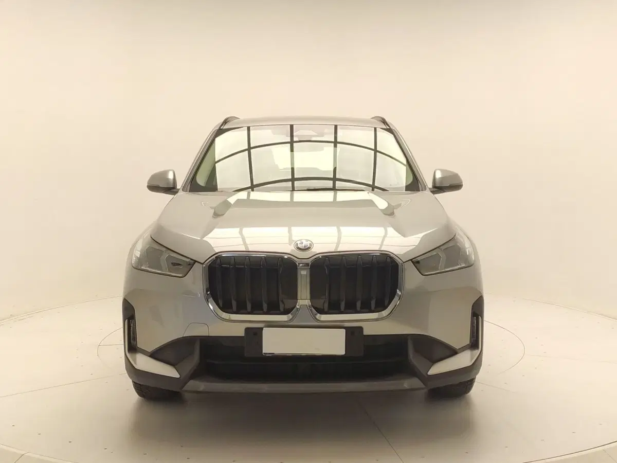 BMW X1 usata a Avellino (2)