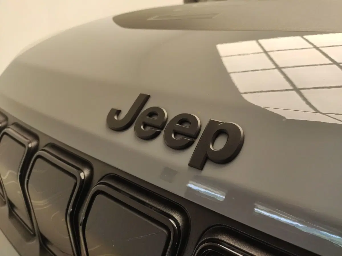 Jeep Avenger usata a Avellino (12)