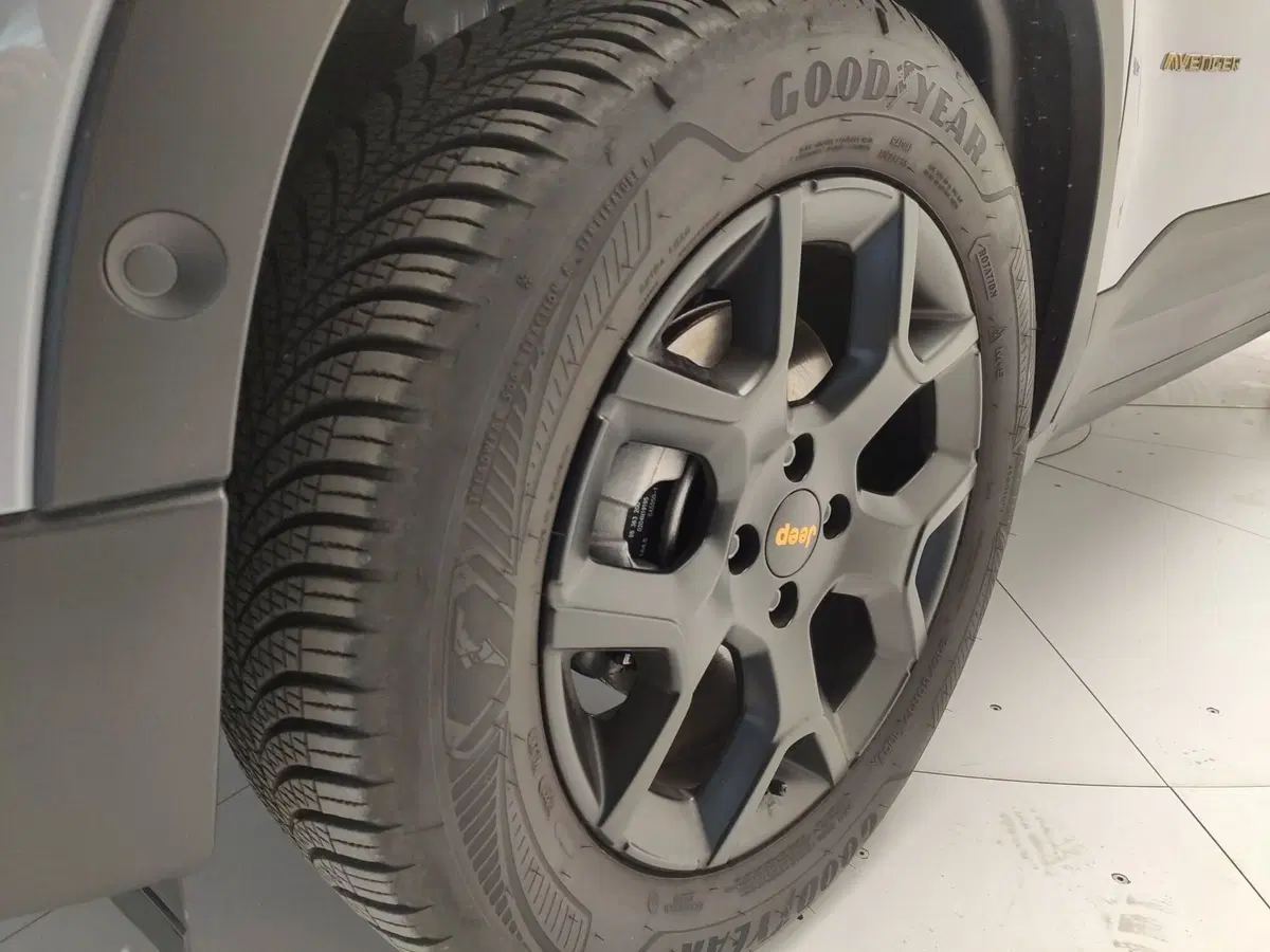Jeep Avenger usata a Avellino (16)