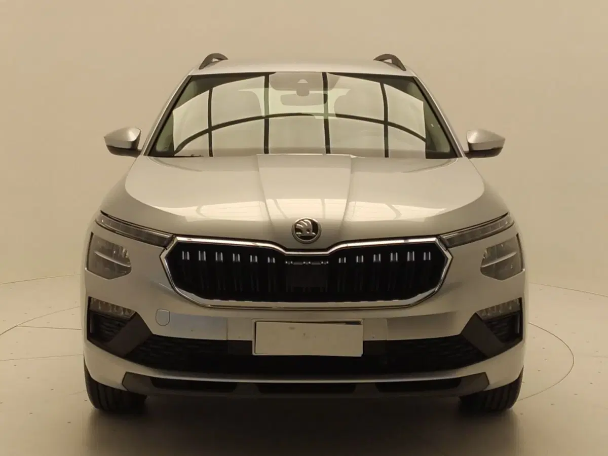 Skoda Kamiq usata a Avellino (2)