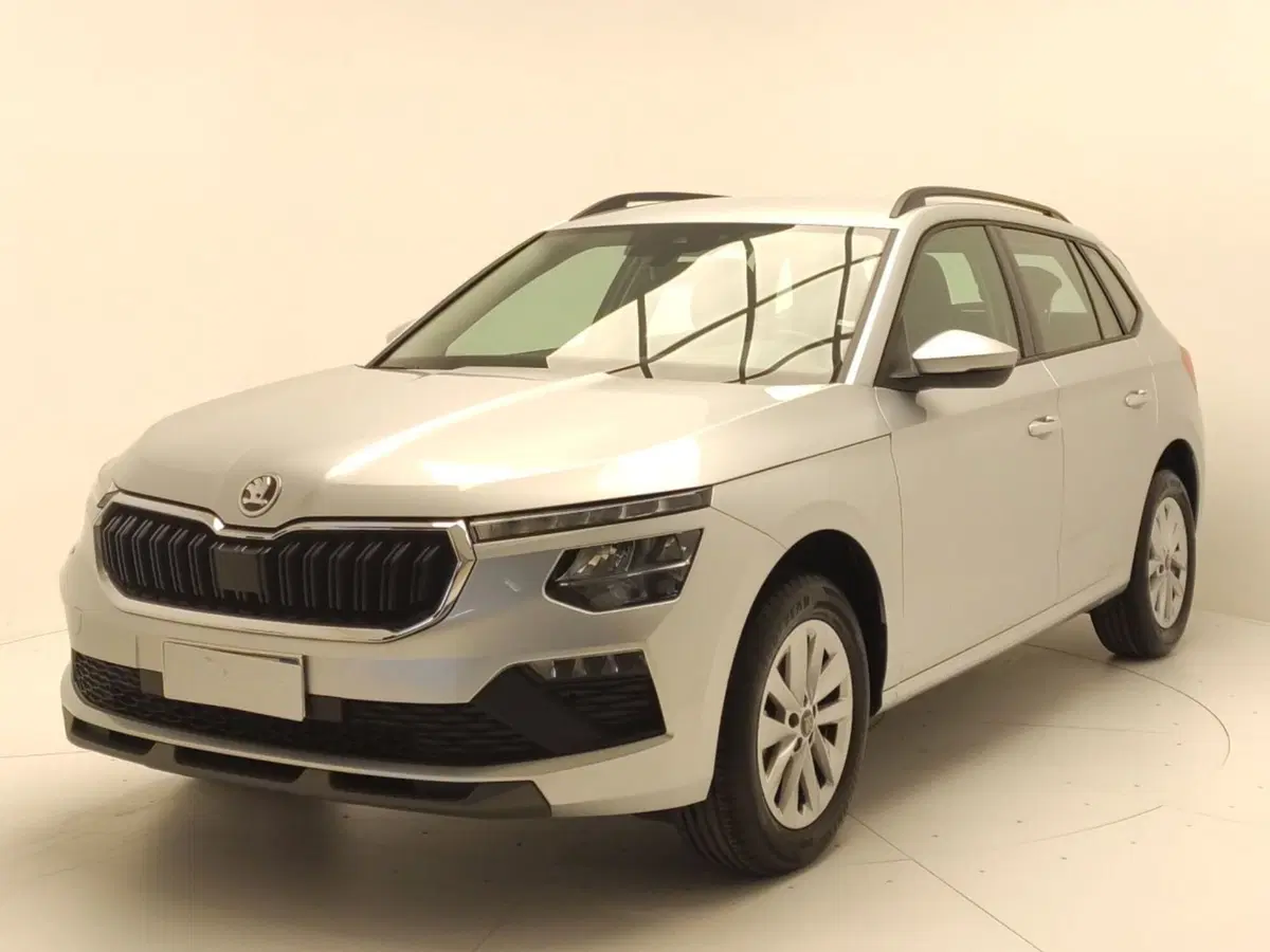 Skoda Kamiq usata a Avellino (3)