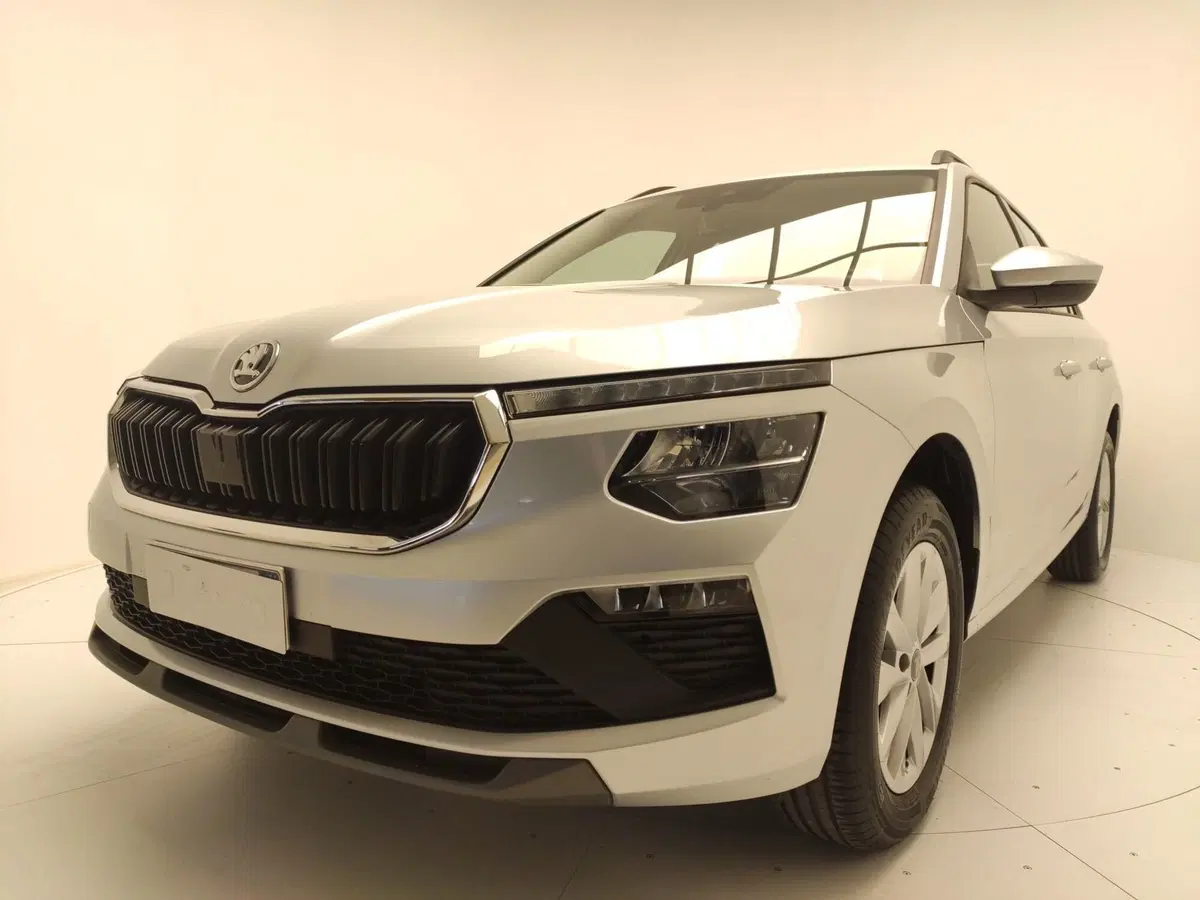 Skoda Kamiq usata a Avellino (8)