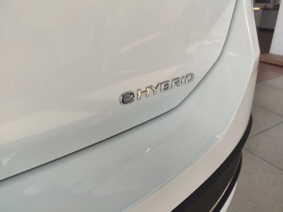 Volkswagen Passat usata a Avellino (7)
