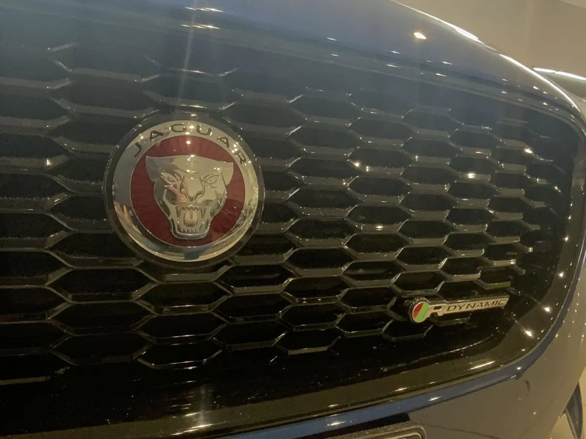Jaguar XE usata a Vercelli (3)