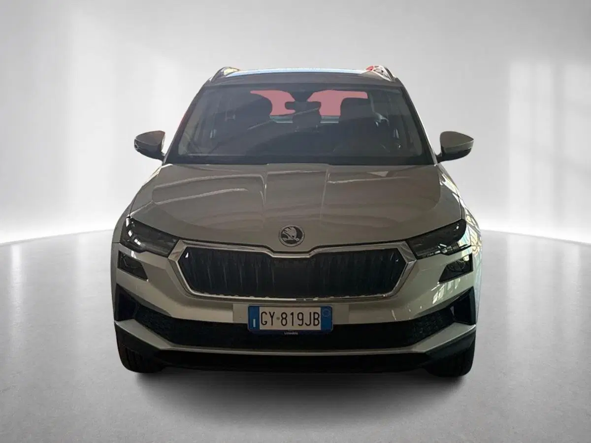Skoda Karoq usata a Ravenna (8)