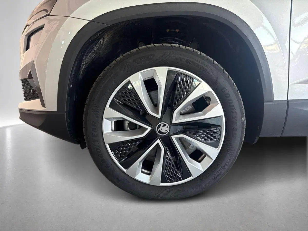 Skoda Karoq usata a Ravenna (9)