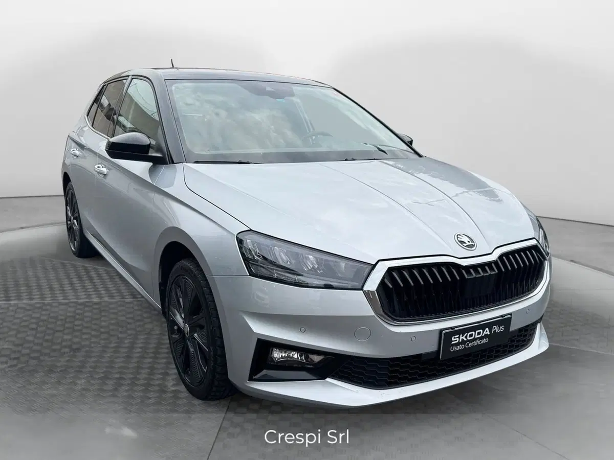 Skoda Fabia usata a Varese (2)