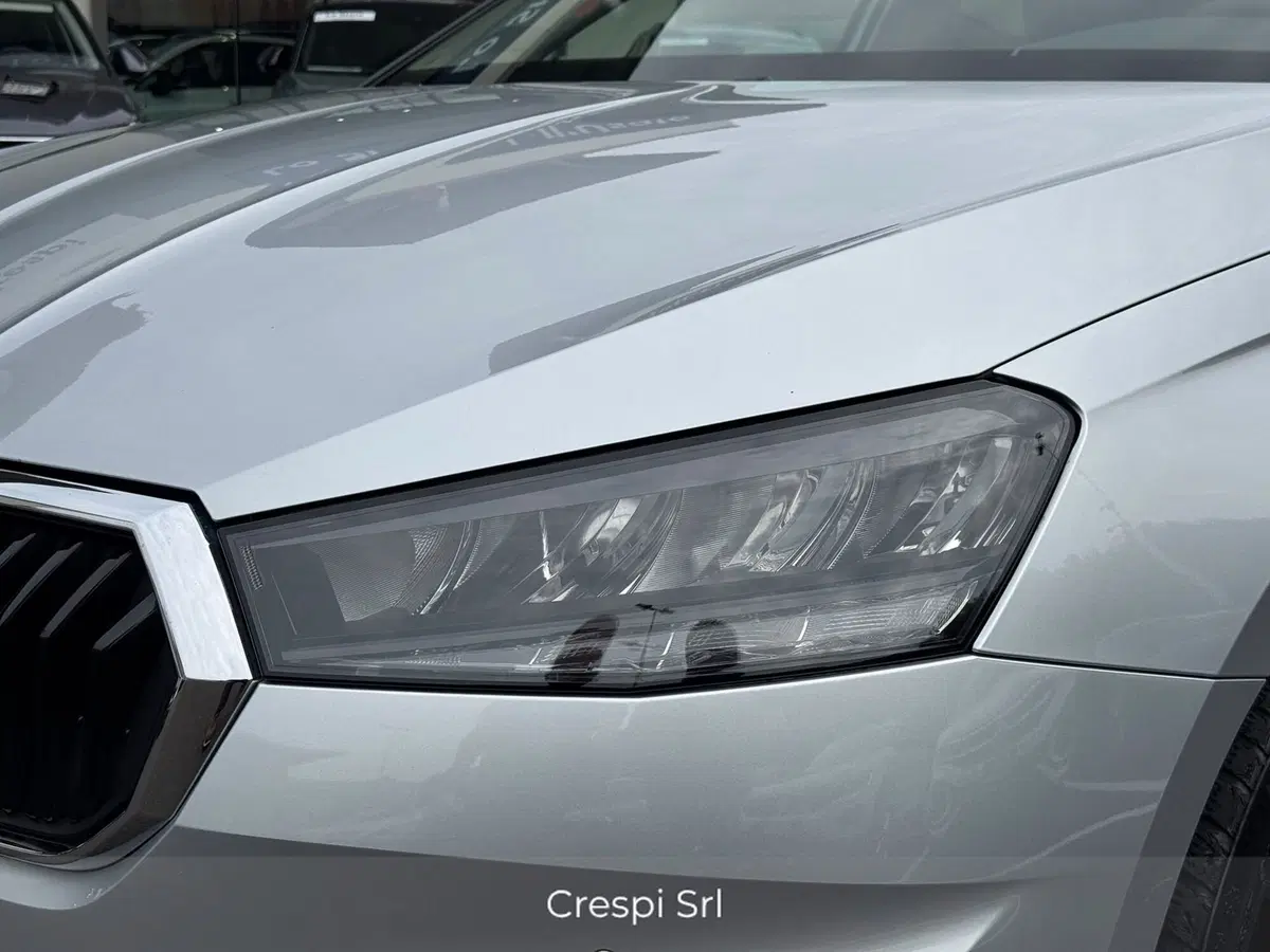 Skoda Fabia usata a Varese (6)
