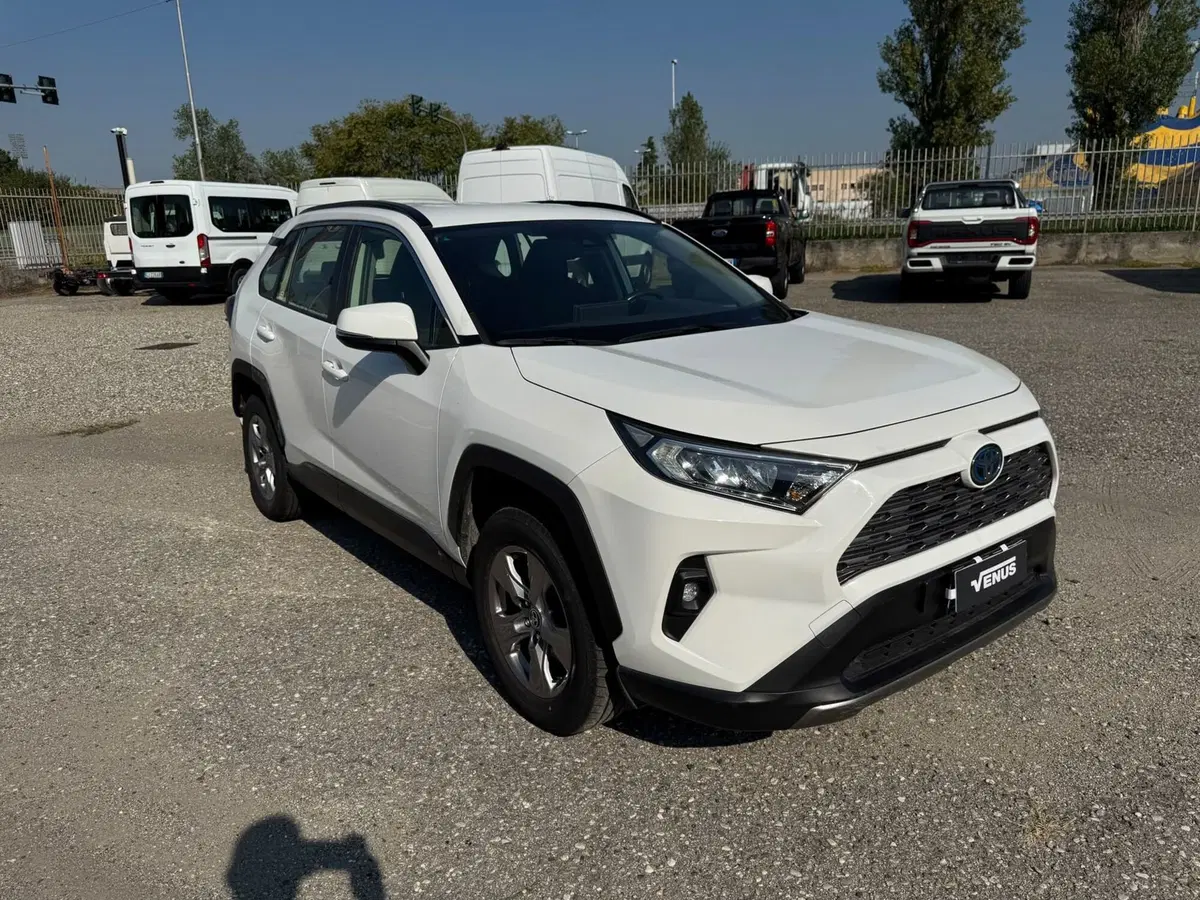 Toyota Rav4 usata a Monza e Brianza (19)