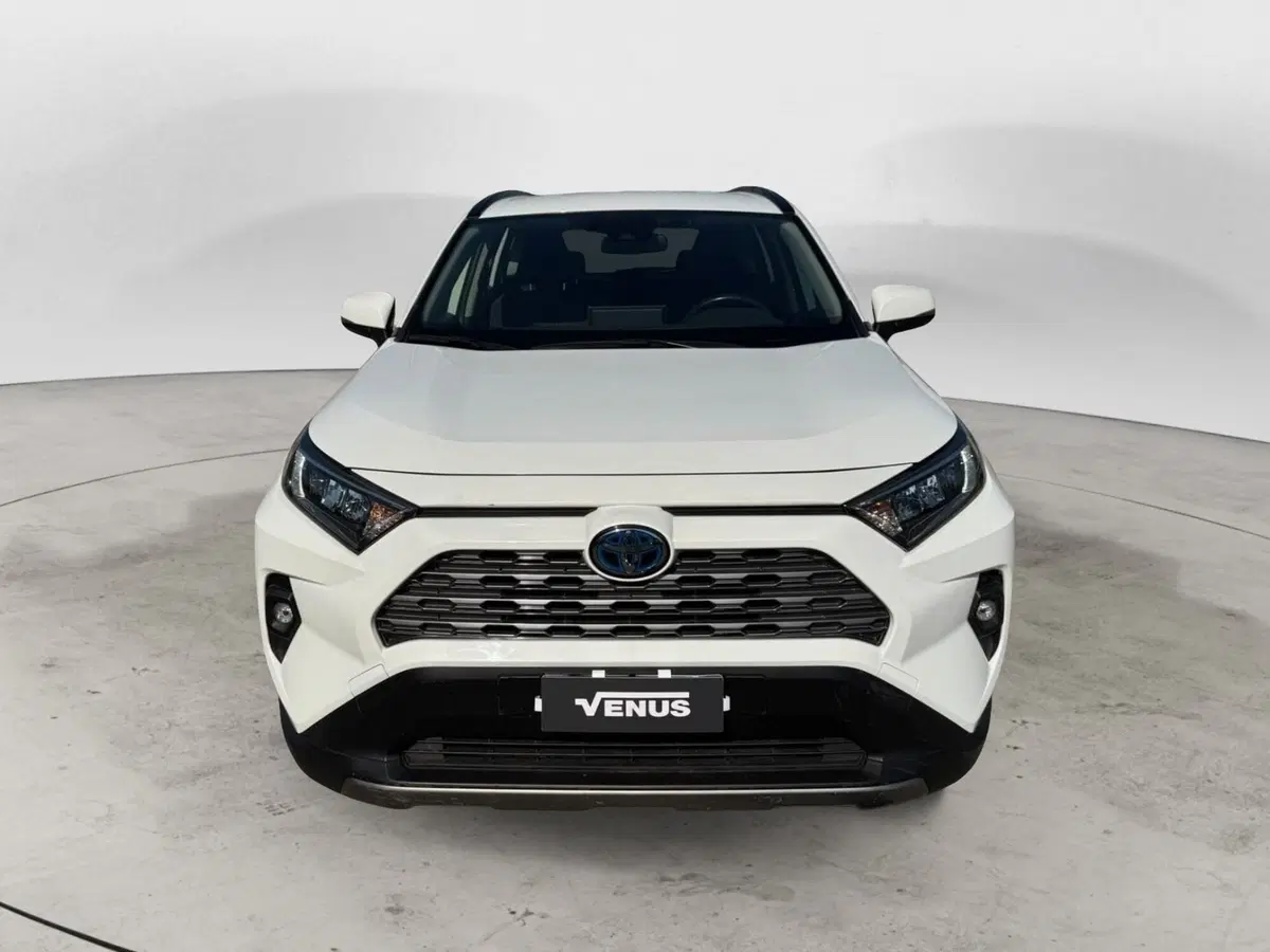 Toyota Rav4 usata a Monza e Brianza (2)