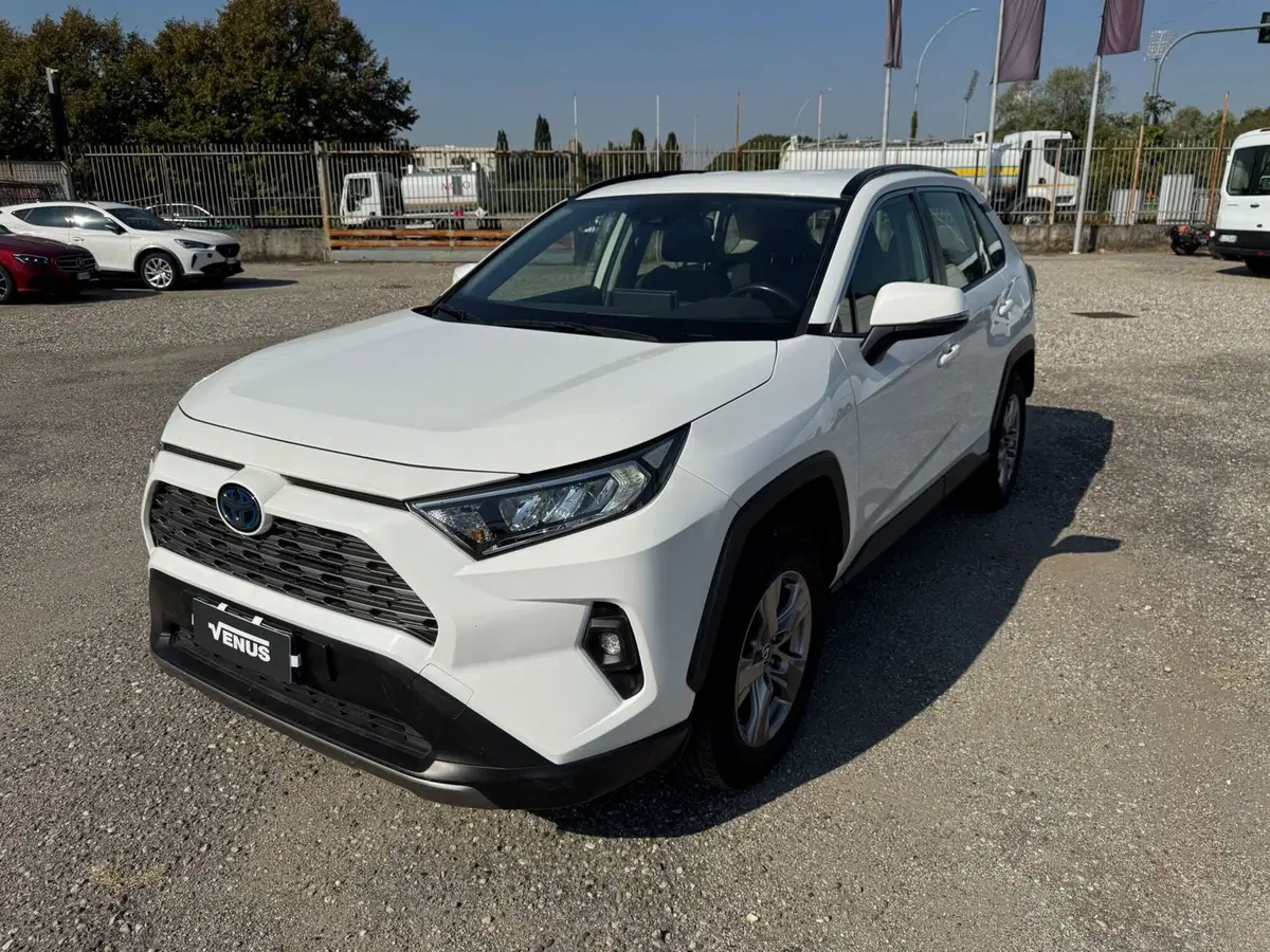 Toyota Rav4 usata a Monza e Brianza (3)