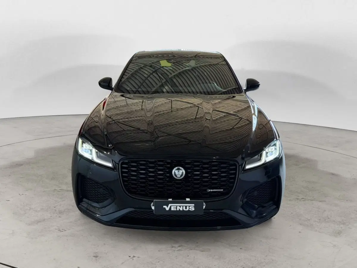 Jaguar F-Pace usata a Monza e Brianza (2)