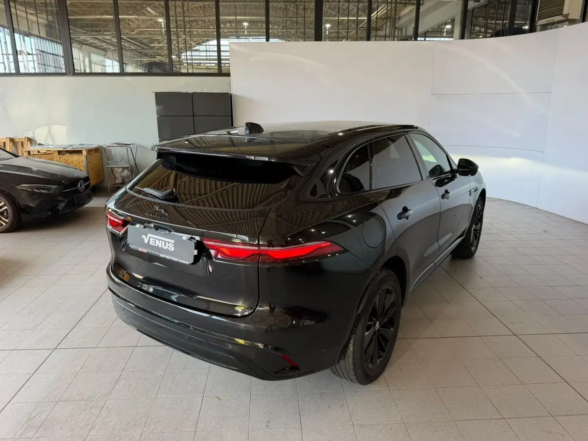 Jaguar F-Pace usata a Monza e Brianza (7)