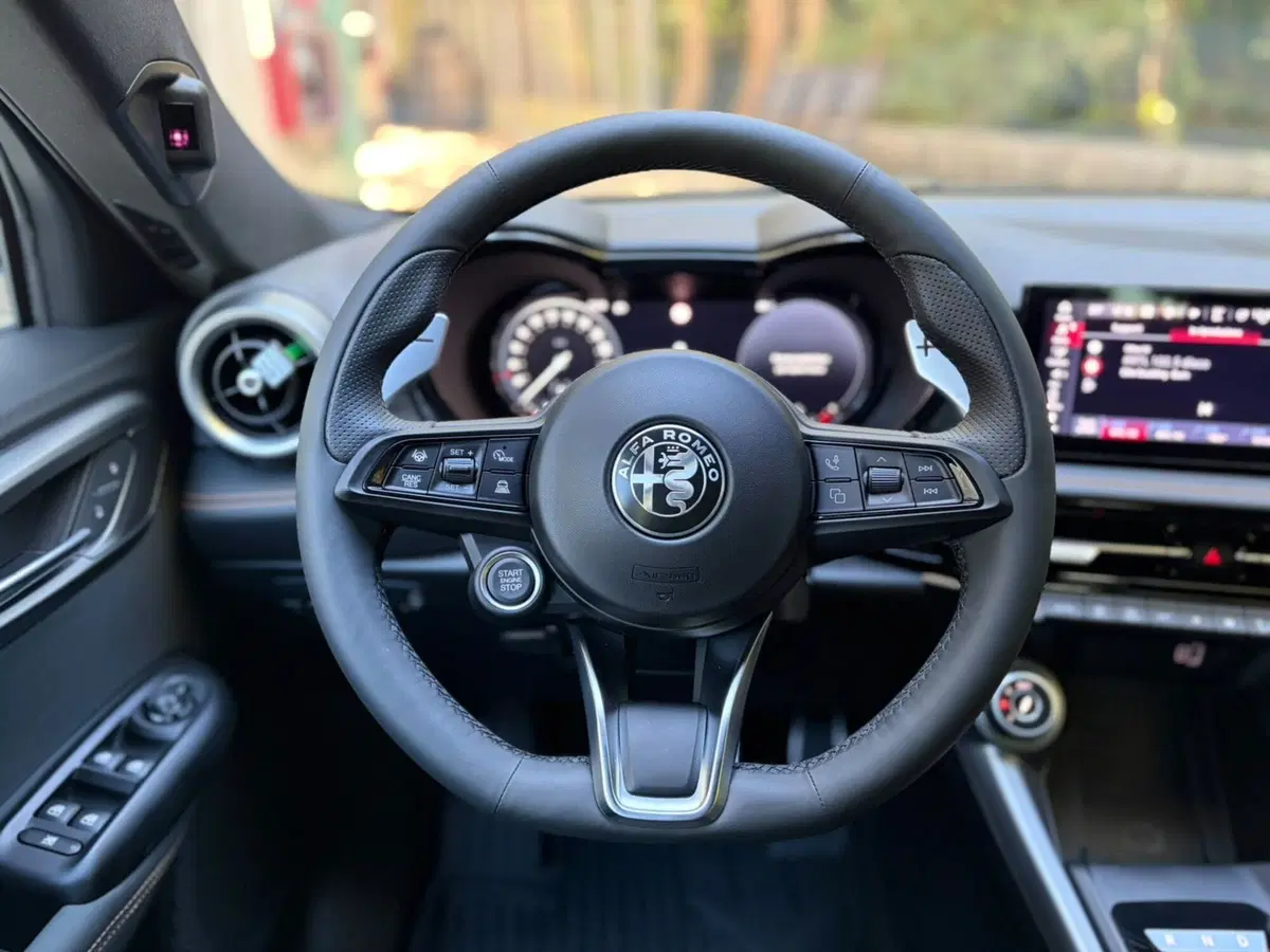 Alfa Romeo Tonale usata a Ancona (11)