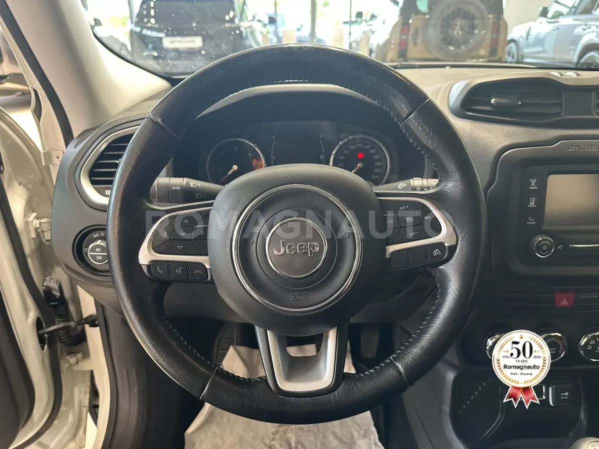 Jeep Renegade usata a Forlì-Cesena (16)