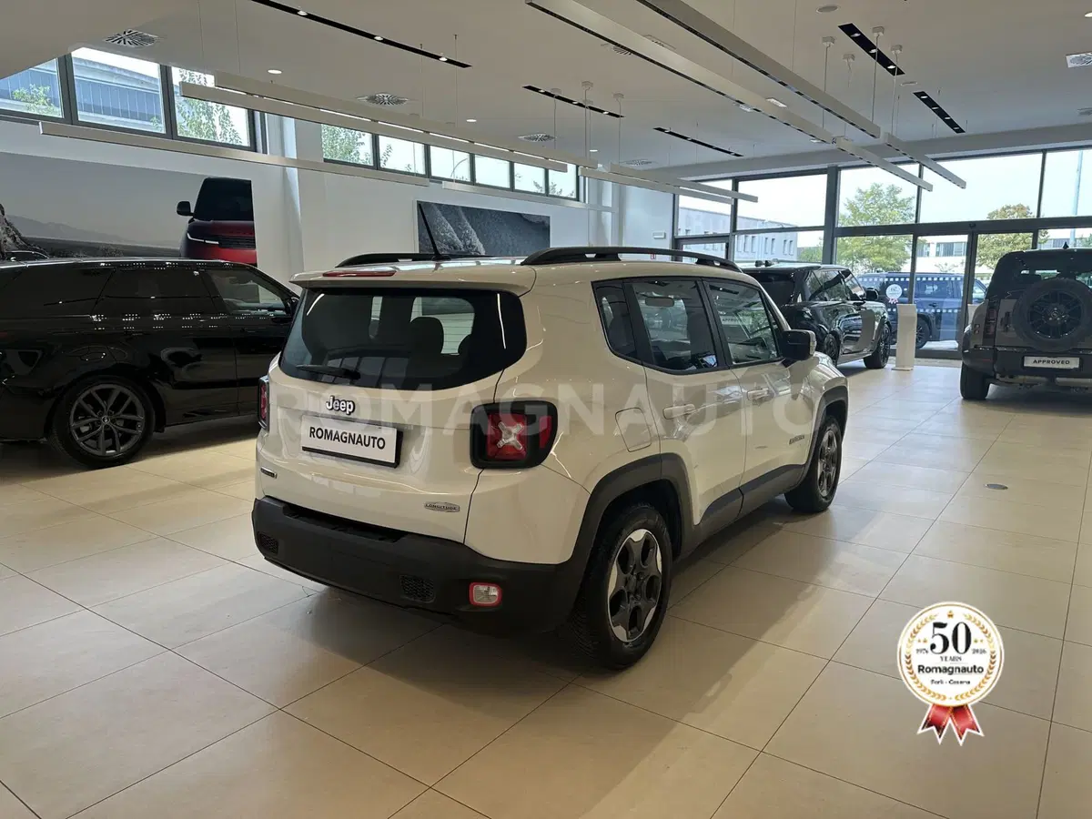 Jeep Renegade usata a Forlì-Cesena (5)