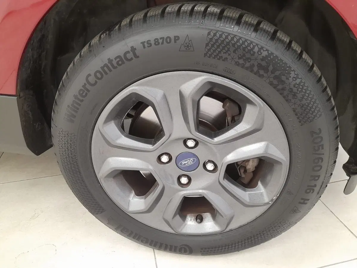 Ford EcoSport usata a Alessandria (10)